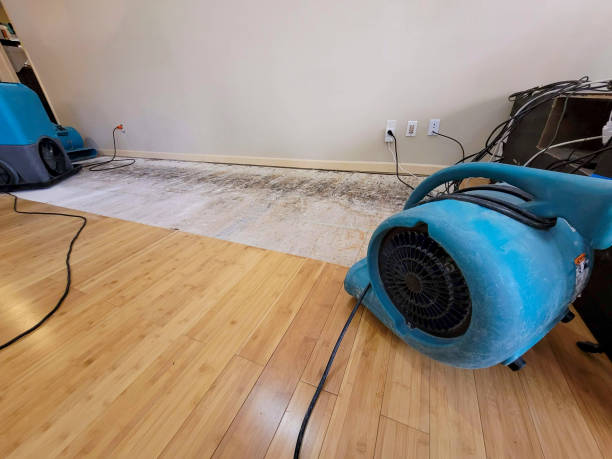 Professional Water Removal technician working in Fort Defiance, AZ